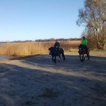 Urlaub Auf Dem Bauernhof Farm stay