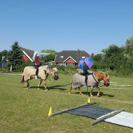 Urlaub Auf Dem Bauernhof